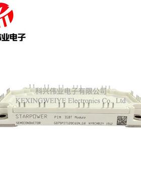 全新原GD100PIT120C6SN-G8 GD100PIY120C6SN GD100PIX120C6SN