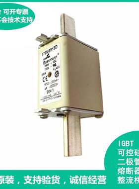 170M3818 170M3819 170M3820 170M3821 Bussmann快速熔断器保险丝