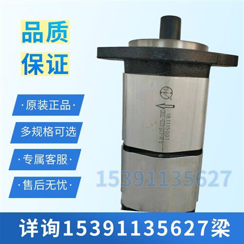 新款合肥皖液CBSL-G33/G23-AF液压齿轮油泵双联油泵物料号6现货