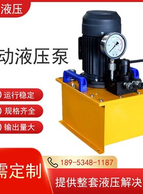 新款超高压电动泵双回路定制液压油泵泵站手动换向阀小型220V现货