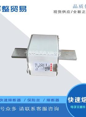 巴斯曼快速熔断器170M6891 170M8645 170M8646 170M8650