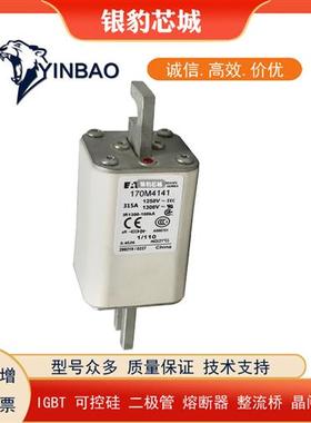 议价170M4193 170M4194 170M4195 170M4196 170M4197全新熔断器保