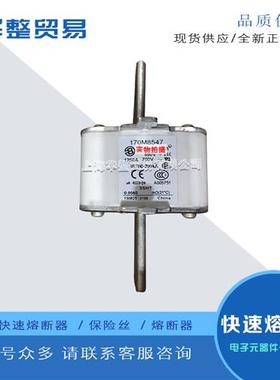 巴斯曼快速熔断器170M8540 170M8541 170M8542 170M8543