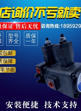 新款叶片泵VCM-DF-40A/40B/40C/40D-40A/40B/40D-10液现货