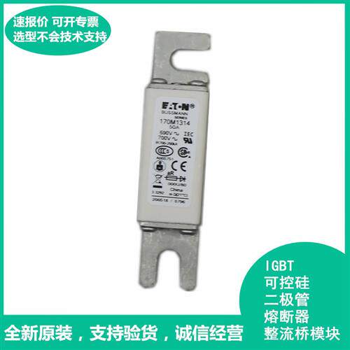 全新原装进口Bussmann保险丝 170M1314 50A 690V~700V快断熔断器