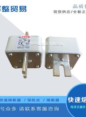 巴斯曼全新熔断器170M6008 170M6009 170M6010 170M6011