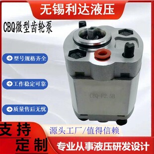F5.0B F5.8B F6.0B 新款 F8.0B F4.8 F7.8B C现货 微型齿轮泵CBQ