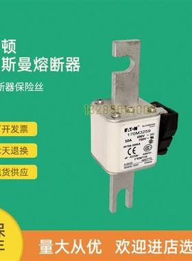 全新快速熔断器保险170M3258 170M3259 170M3260 170M3261