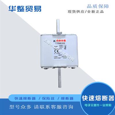 巴斯曼快速熔断器170M6317 170M6318 170M6358 170M6359