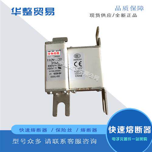 巴斯曼全新快速熔断器保险丝170M1313 170M1314 170M1315 170M131