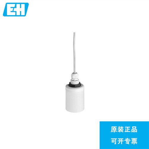 现货 E+H超声波液位计探头 FDU91-RG2AA 测量范围10米 恩德斯豪斯