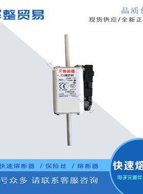 巴斯曼全新原装快速熔断器保险丝170M5316 170M3739