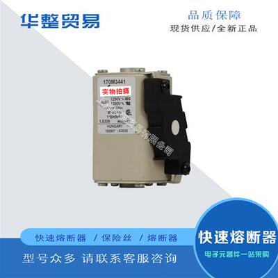 巴斯曼快速熔断器170M3442 170M3443 170M3444 170M3445