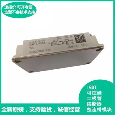 全新SKM200GB125D SKM300GB125D IGBT模块 晶闸管