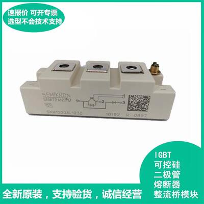 全新原装SKM150GAR12V IGBT 可控硅 晶闸管模块 极速发货