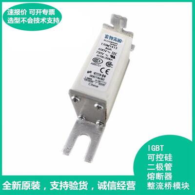 全新170M1413  170M1362 熔断器欢迎咨询价格