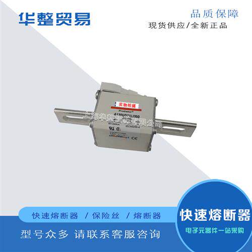 全新快速熔断器A120UD73LI800 K300688 A110UD73LI900 L300689