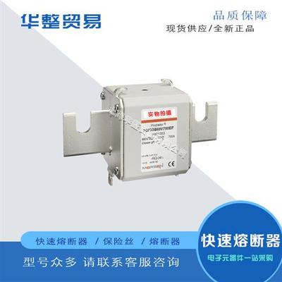 全新快速熔断器PC73GB69V630EF G301352 PC73GB69V700EF H301353
