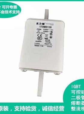 全新原装正品美国伊顿Bussmann巴斯曼快速熔断器170M5138现货供应
