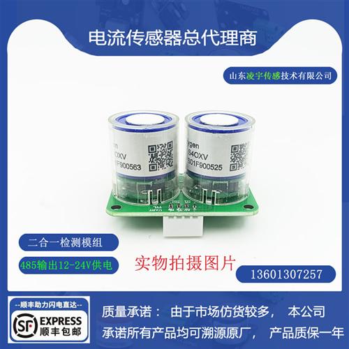 H2氢气CO一氧化碳气体传感器模块485输出12-24v供电 量程可选