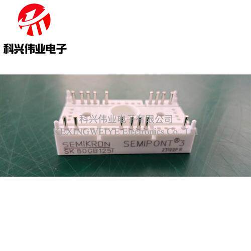 SK80GB125T SK50GB065 SK45GB063 SK45GH063 SK25GH063