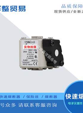 巴斯曼快速熔断器170M3531 170M3532 170M3533 170M3534