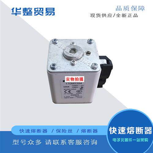 巴斯曼快速熔断器170M5308 170M5309 170M5310 170M5311