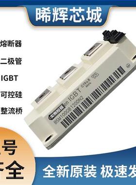 BSM100GB120DN2  可控硅 晶闸管模块 极速发货 现货可直拍