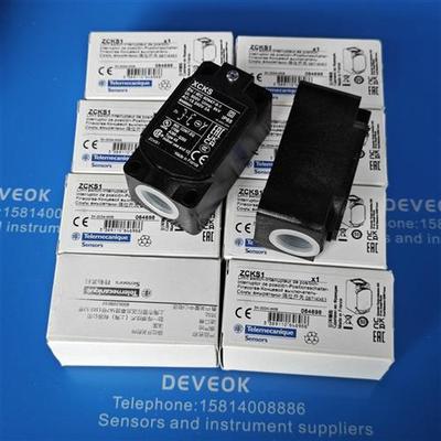 议价认准正品  schneider施耐德ZCKS1ZCKS1H29ZCKD05 XCKS541H29