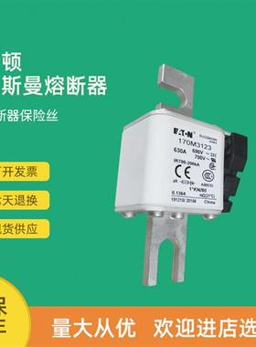 全新快速熔断器保险170M3158 170M3159 170M3160 170M3161