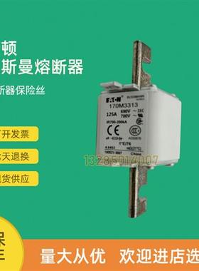 全新快速熔断器保险170M3569 170M3570 170M3571 170M3572