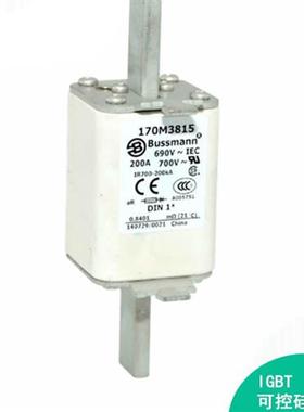 170M2658 /2659/2660/2661/2662/2663/2664巴斯曼熔断器/ 保险丝