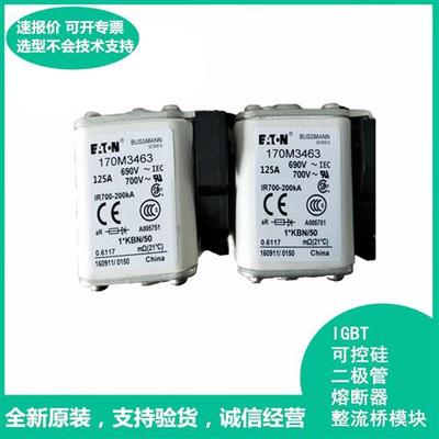 低压快速熔断器保险丝170M3410 3411 3412 3413 3414 3415 3416