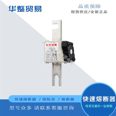 巴斯曼全新原装正品快速熔断器保险丝170M3262 170M3263 170M3264