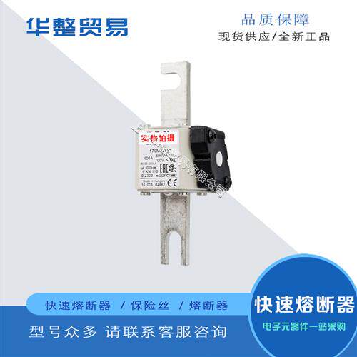 巴斯曼全新原装正品快速熔断器保险丝170M3262 170M3263 170M3264