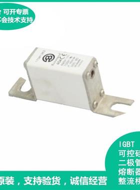 全新原装进口Bussmann保险丝 170M1363 10A 690V~700V快断熔断器