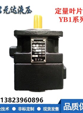 新款YB1-10/6/4/2.5/6.3/16/25/40/50/63/80/100仙居 油泵 定现货