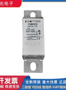 低压熔断器 170M1810/170M1811/170M1830/170M1831全新原装