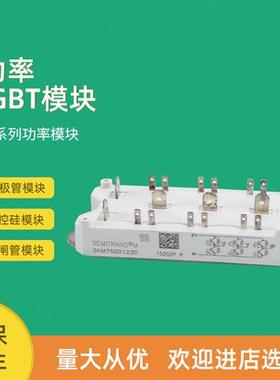 功率IGBT模块SKM75GD124D SKM75GD121D SKM75GD101D SKM75GDL123D