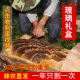 正宗蜂巢蜜嚼着吃盒装 500g野生纯正天然百花蜜巢礼盒秦岭留坝蜂蜜