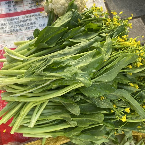 新鲜霜降后甜嫩柳叶菜心现摘现发农家自种蔬菜当季时令蔬菜包邮