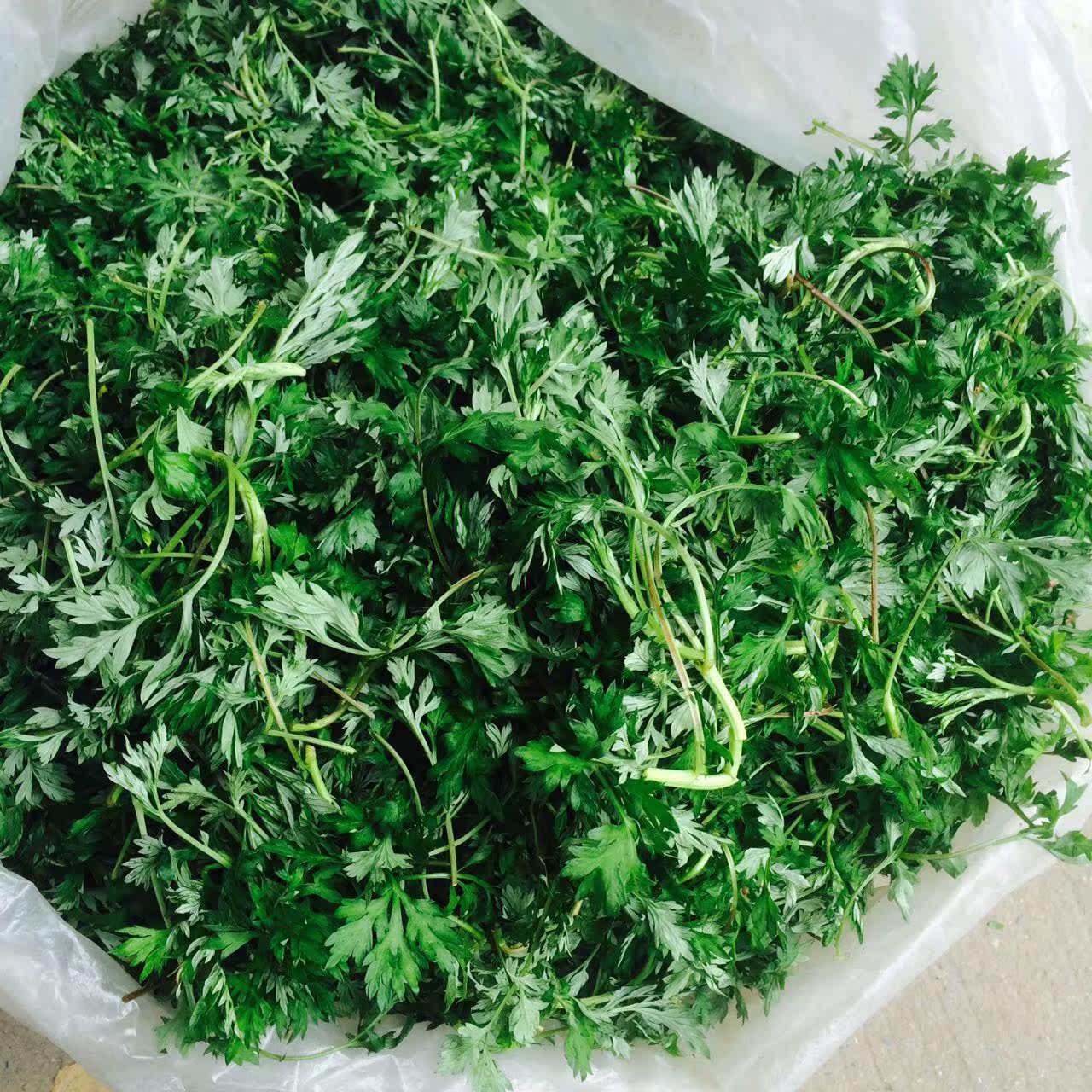 新鲜艾草叶当季食用蔬菜野生嫩艾叶清明糍粑艾青团