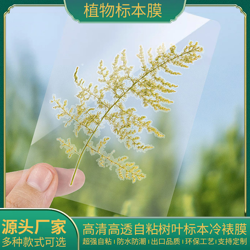 冷裱自粘透明膜多尺寸书签树叶干花标本植物手工照片塑封相片保护