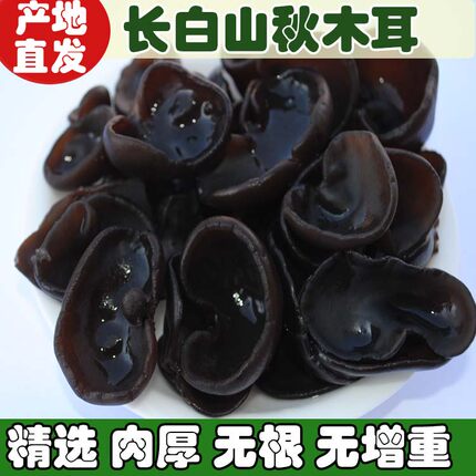 新货东北秋木耳无根小碗耳 长白山黑木耳特产干货木耳包邮