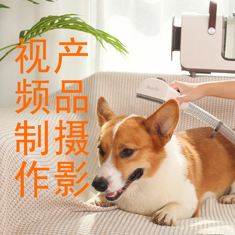 产品摄影视频制作宠物用品拍照定位器亚马逊主图制作A+猫狗静物拍