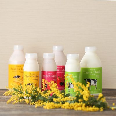 日本北海道bocca 超浓郁原味牛乳酸奶饮料瓶装200g