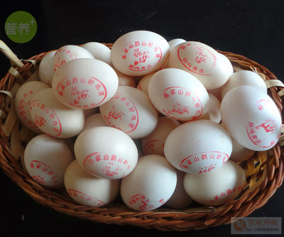 高山生态放养无公害鹊山鸡蛋母鸡蛋农家散养土鸡子送礼营养鸡蛋