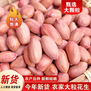 【新客专享】现剥新花生米生新货粉皮新鲜大粒商用大粒花生仁5斤