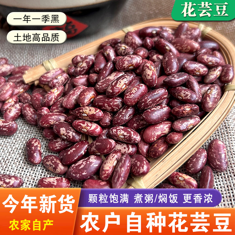 东北紫花芸豆25年新货农家熬煮大碴粥饭豆五谷杂粮特产新鲜红腰豆
