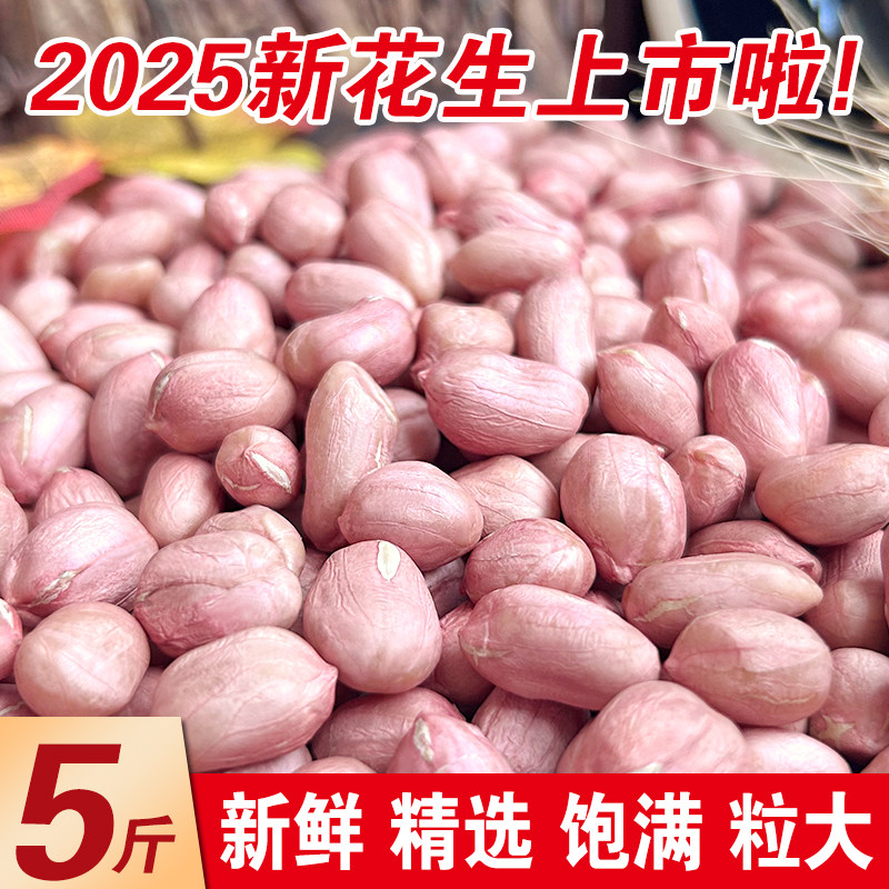 河南特产大粒花生米农家自产新鲜